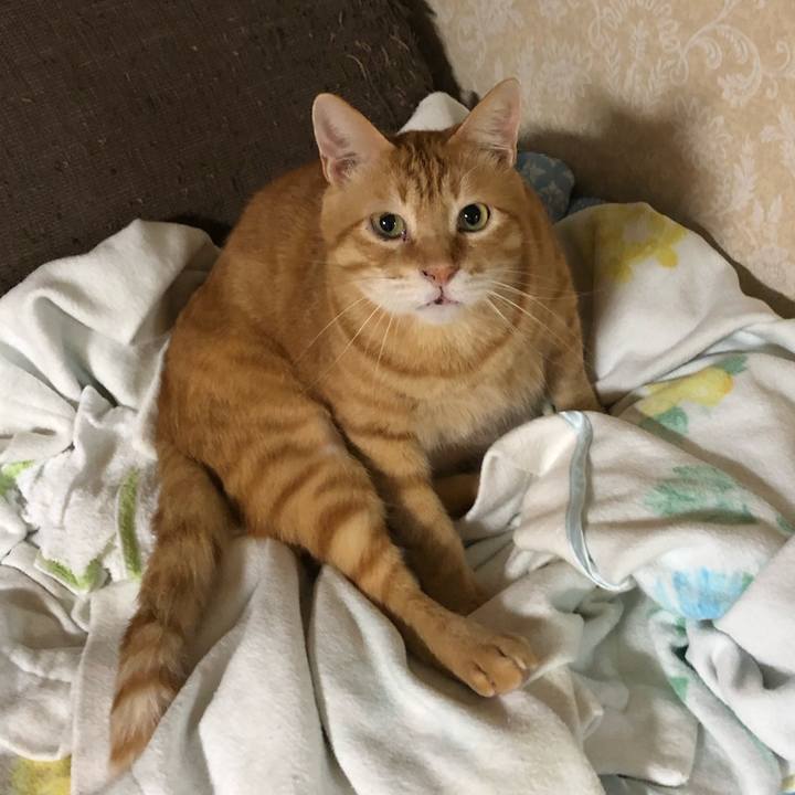 173c59db 7db0 4a7e 8d65 eb17939eea33 1566819607565