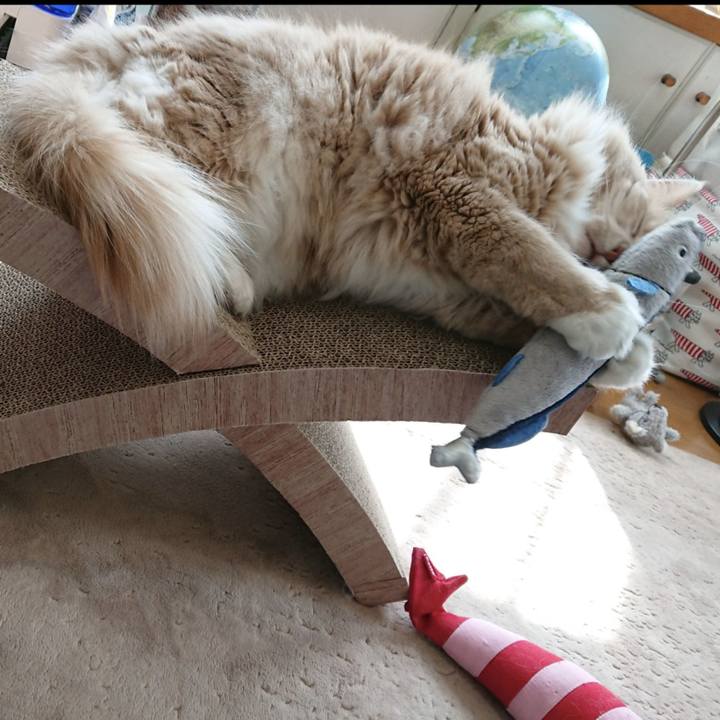 173c5ec5 cf25 47ee b46d 429eea7a0c08 1645955582336