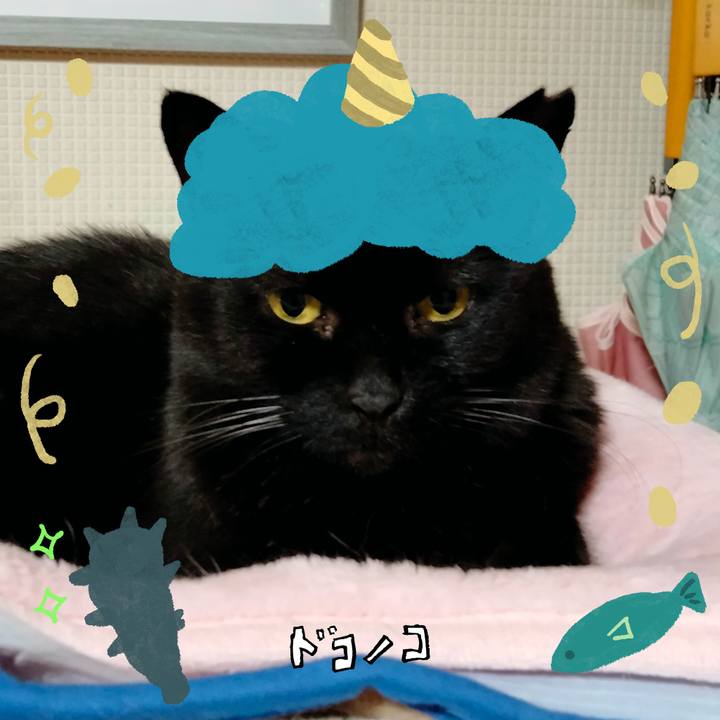 173d7113 11e8 42b8 87d7 308e06cefef6 1706924775118