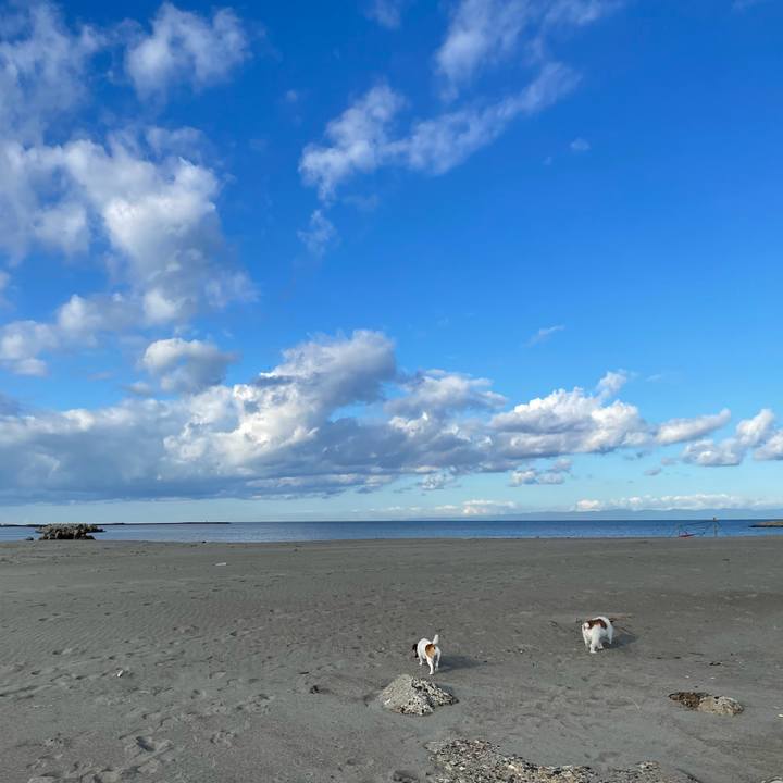 173d86e5 f383 4036 8be8 445baff31cec 1634255985173