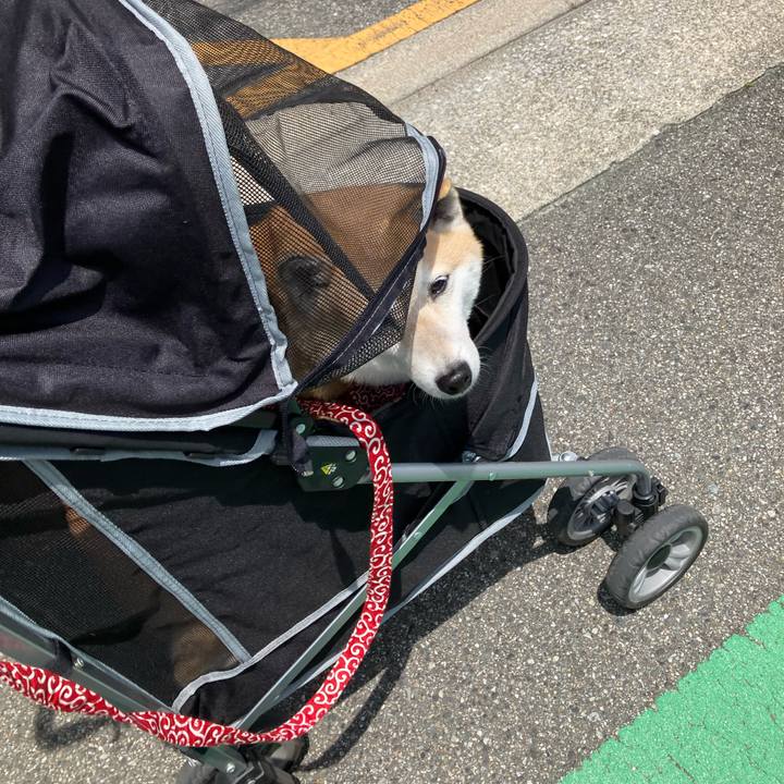 173d9e64 bf59 45e6 85a3 d69874dfb118 1623406372858