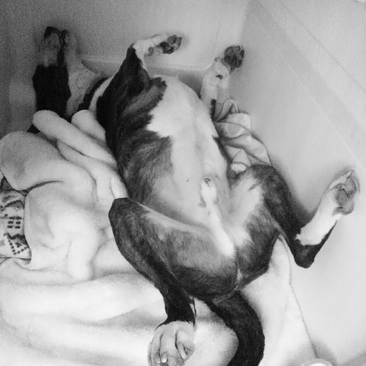 173d9ea2 03fe 4839 b715 33a335aa8626 1587870689126