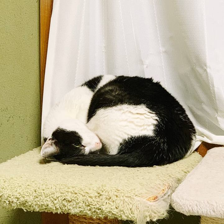 173de444 c9f3 45d8 aa52 dc95cf8dbb5d 1557109416303