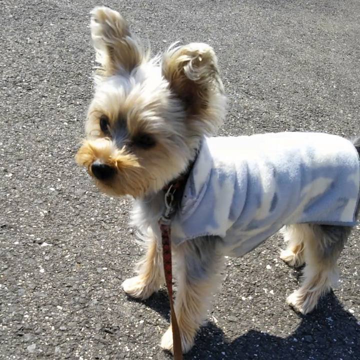 173dfcc7 6196 45d9 b196 b083e58bb6e6 1552456905776