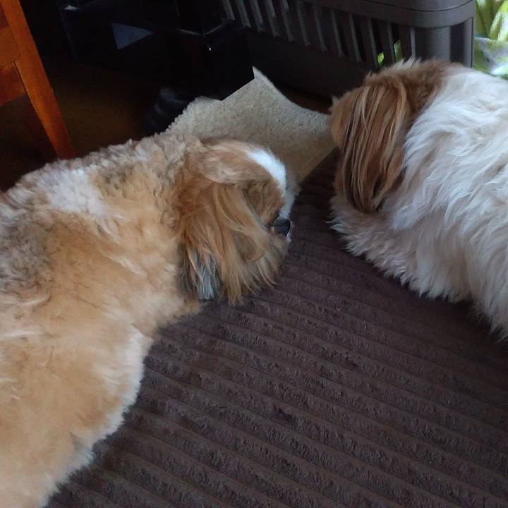 173e5333 5d7a 4895 b11e f70e0856dcf7 1612263373096