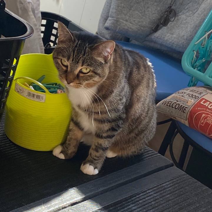 173e6507 9a33 42cd be32 6633421e60bc 1579488467522