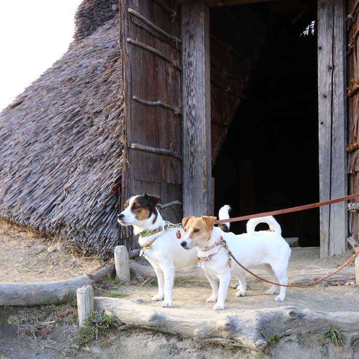 173e9c67 0038 4994 aff6 d067a68313e5 1549177335105