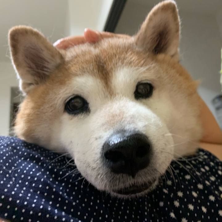 173eb24d cc35 4317 93f5 479acdd40eba 1597751403808