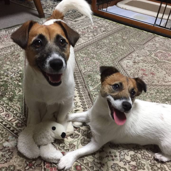 173eb3b4 a017 4867 8190 6b4bad02a481 1535883668547