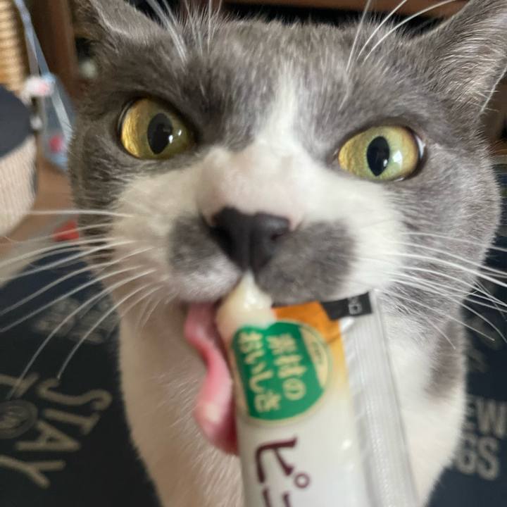 173f0c81 5468 450b ab0e 4f3d197abd50 1723533000787