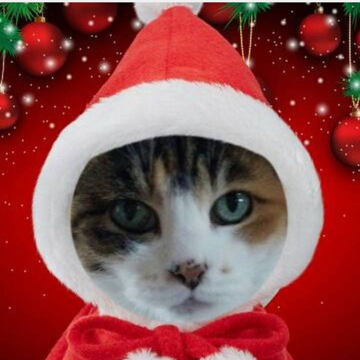 173f0f70 6bbf 46c9 b269 7cb20e69ec67 1545606184769