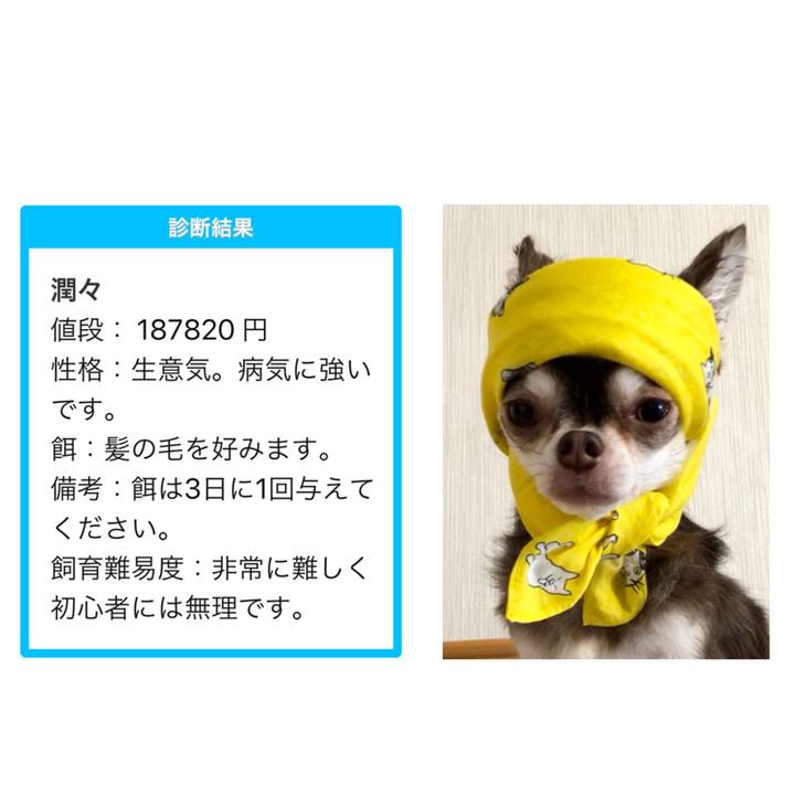 173f1094 de3f 4a47 af15 330dc662e215 1530621425752