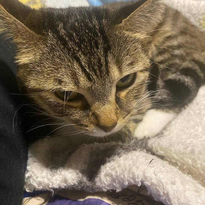 173f3997 85a4 4936 aad6 eac36d26cd3a 1603799156261