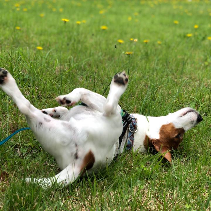 173f77ea a395 4c43 9ac8 48e1d8e82bda 1594209125297