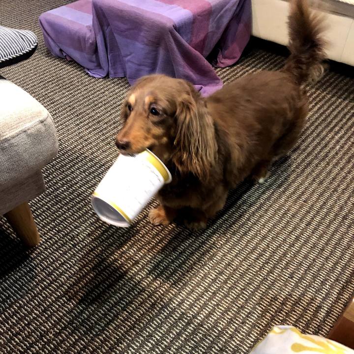 173f89d7 daf1 4bd4 b99a 68e966c64ded 1557961621657