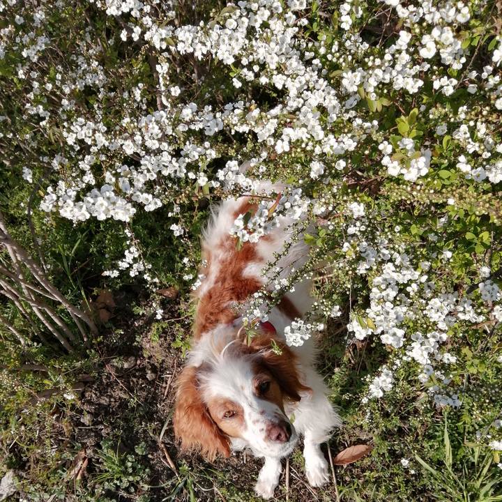 173fe28b 6678 4849 8b1d 87e50634dd1d 1584357842096