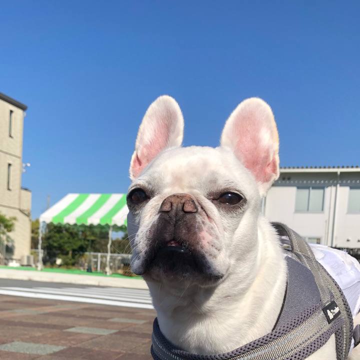 173ff66b 0f1b 4b05 aef6 e7d7accdec3b 1668828455378