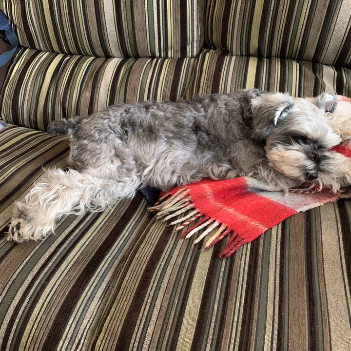 17403eca 3273 495a a317 37bf72249cc5 1588649124134