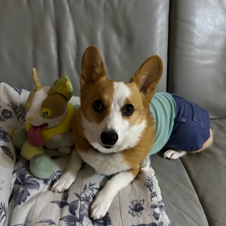 1740408c f37b 40ef 8f89 982233eaa159 1757946043462