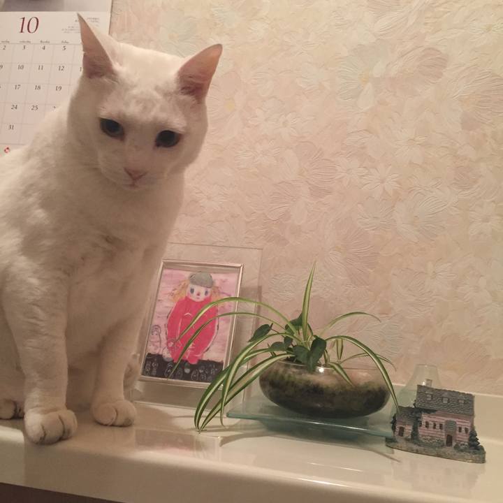 17404a6e 552e 4adb 9d2f ba7d0dad57fe 1540485815535