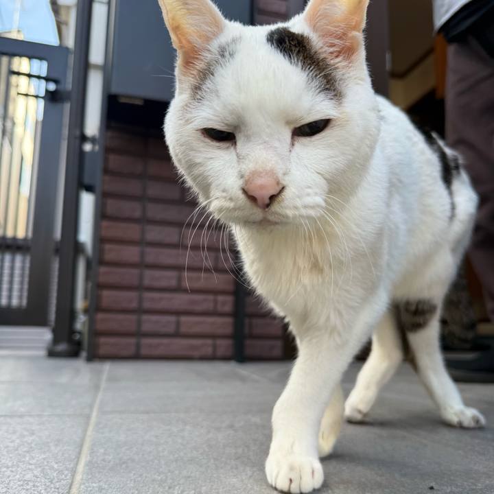 17409045 0416 4132 bc0f 696ec02295f8 1768094617535