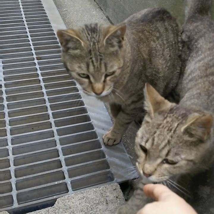 1740a2c0 1bdd 424e b1a2 f92122b2f472 1526807112320