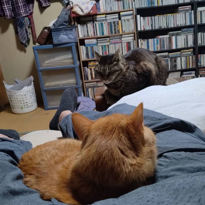 1740b717 7c84 4847 b42e 3e7167dbfd4b 1746005051832