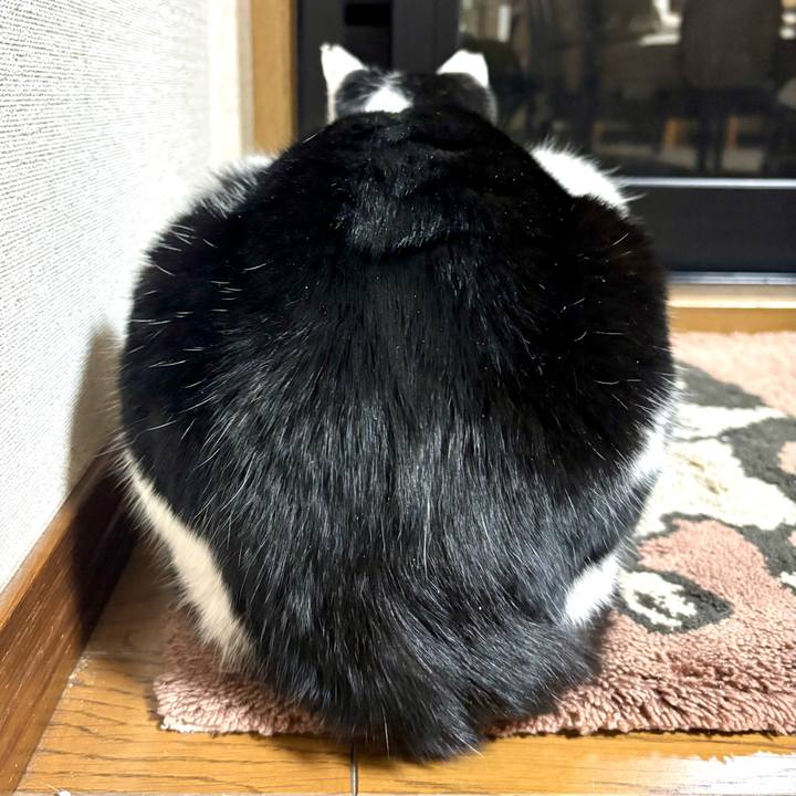 1740b990 7d0e 4974 a7f8 bdbdcdb29c55 1770186158755