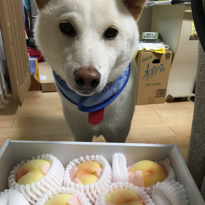 1740bb4a 28c0 417a 89c0 e10e4bd2afa7 1565077838119