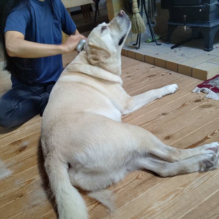 1740d671 ac38 43c1 9168 94fa03839b94 1691814466668