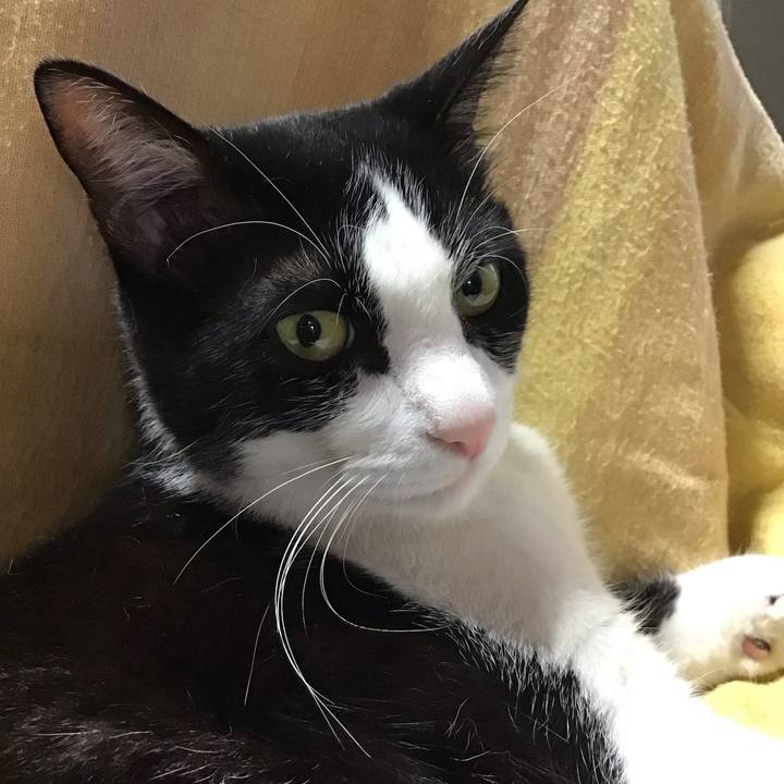 1740d6ff f268 474d 9ecc b19f0eaee715 1713853955922