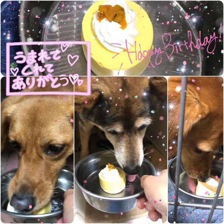 1740e501 3083 4023 9a26 292029fe3509 1557924283873