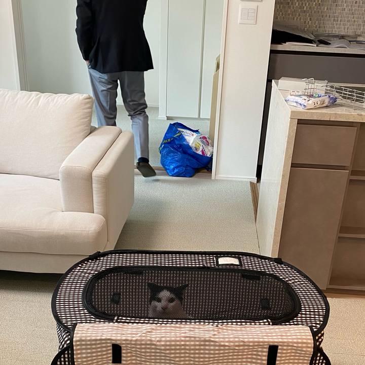 174145d9 afbf 45b5 a574 980bfb1b6c9f 1712277588817