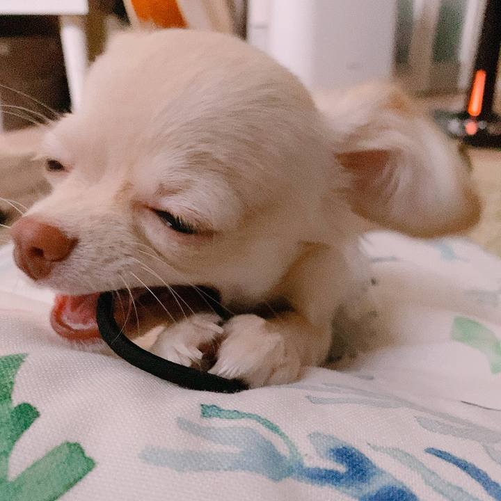 1741624f 6923 4ed8 8742 53ae4b6c088e 1596920032360