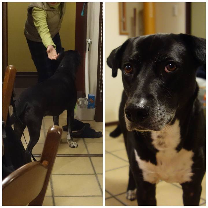 17418d5e 972c 4834 b86e 5b30b62f5d3c 1704797279869