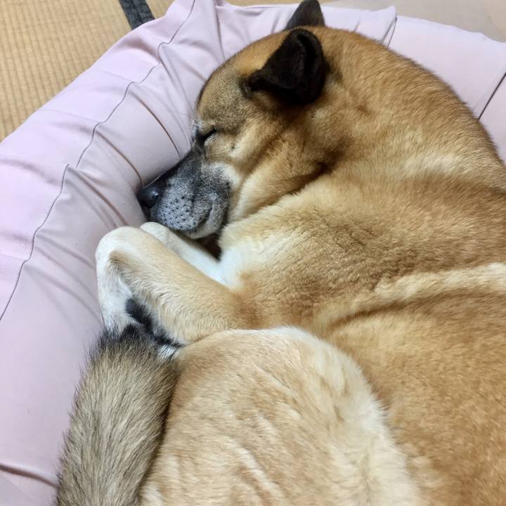 17419384 ad66 4b1e a370 a69ffa53a6b9 1522589036643