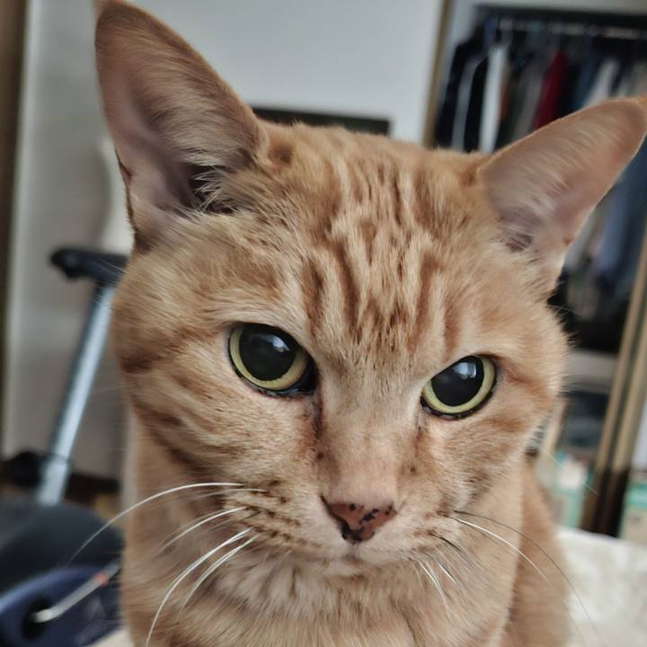 1741b6f5 f2e6 4a3e 8855 9535685b766c 1746491194807