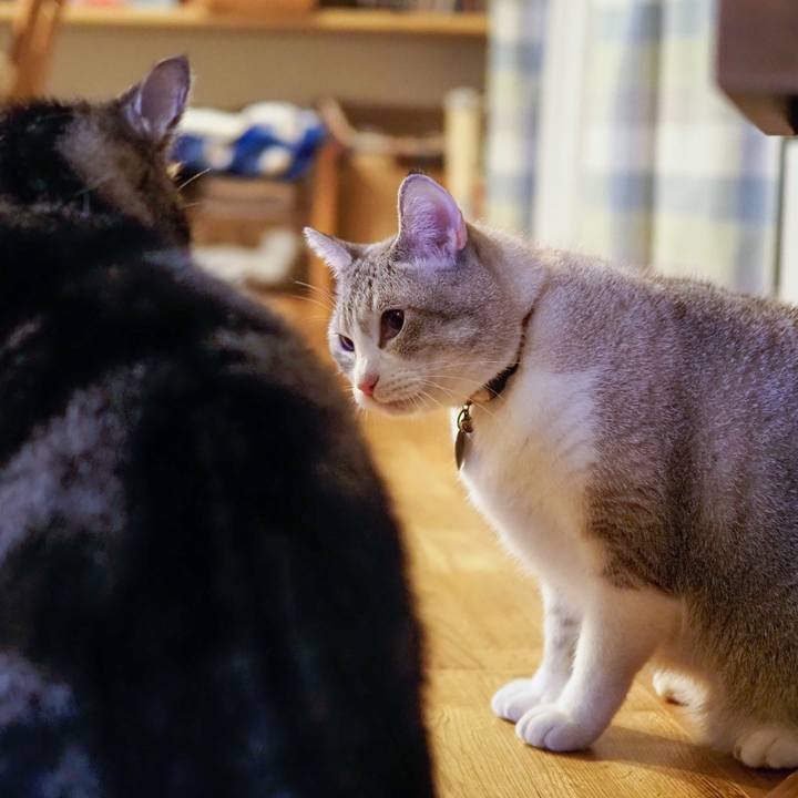 1741d591 ec7a 4606 8bed ba9b68f58092 1635640759195