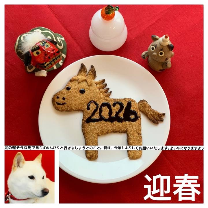 1741e088 23a3 401c b557 5a5780ec6963 1767245372213