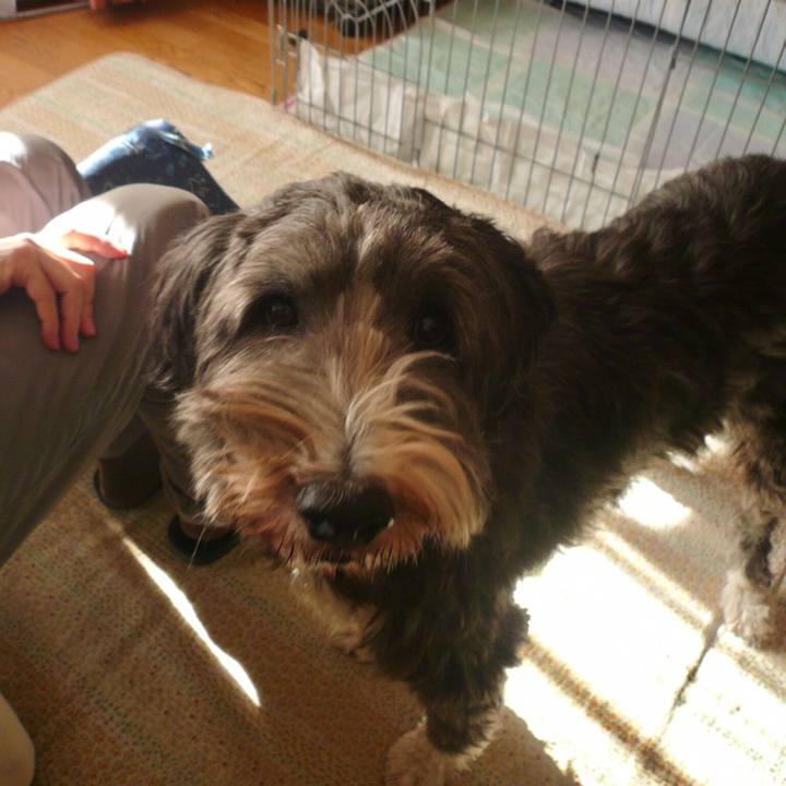 1741ea28 9198 4741 9c48 70c46aa3c51d 1560165939273