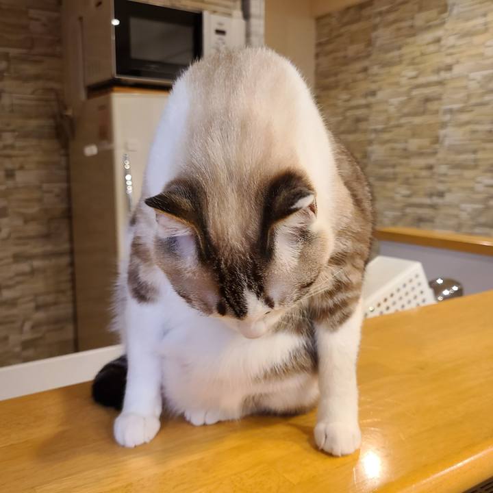 1742177c a67b 4808 9c11 ff7f23f78e6d 1654778665046