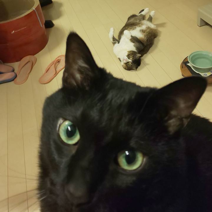 17421bc4 fab6 43d3 bb25 2bfc0fbc7e5f 1715177421460