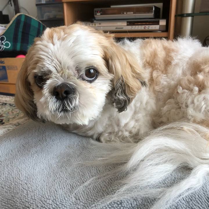 17425eea e5b9 4dd4 a81e c93346b746f2 1616818853216