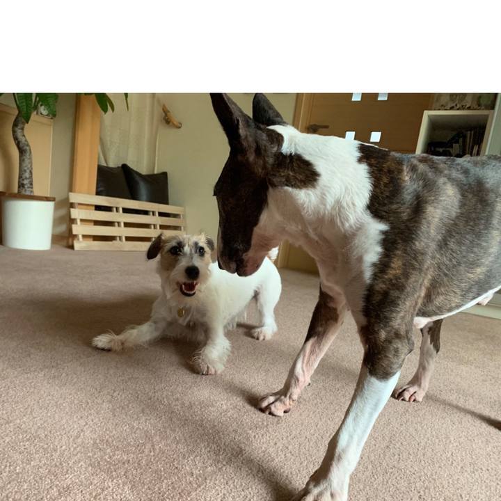 17427d14 efb6 49a2 9b82 8131f4cc0b82 1599887274163