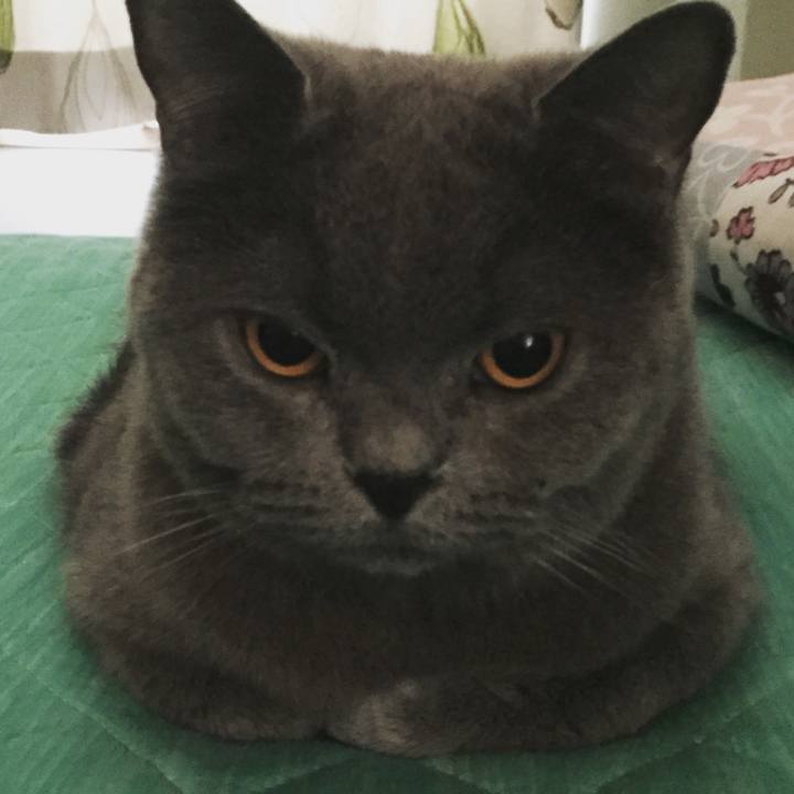 1742b3d6 9c63 4eb1 882a d2d79092b78b 1773479873197