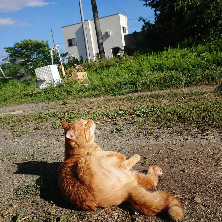 1742c222 1c60 4602 8a4b 627771504e72 1656662465519