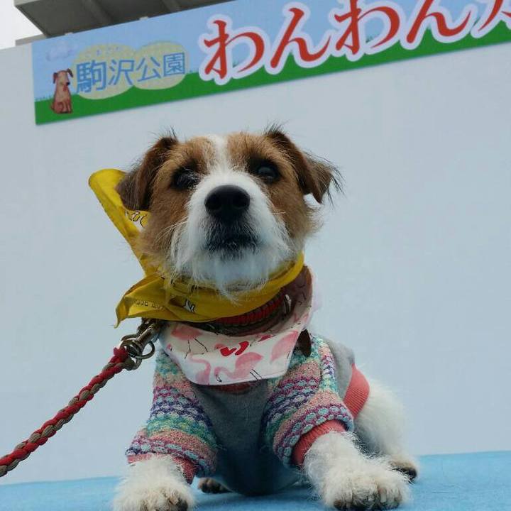 1742c6a8 442a 46f4 ab68 da9f8aaa7dbe 1539428589902