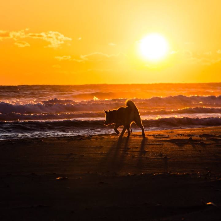 1742fd2d 5584 4740 b449 f81ce0fad2cb 1514632775990