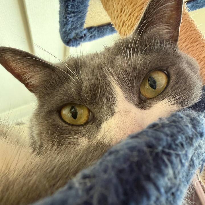 17435089 28ed 4b3c 8b66 1118bd1920f4 1773715166080