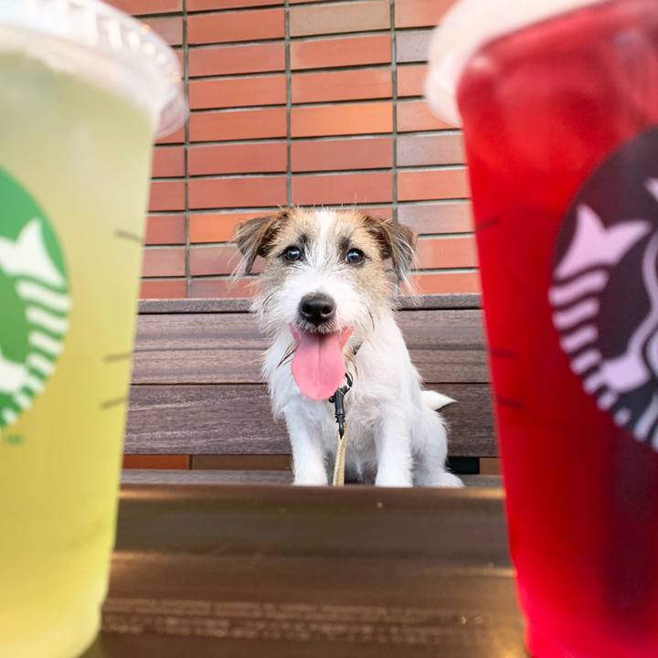 174384b4 5938 47f2 a6a8 1b8cb96d6094 1565864588555